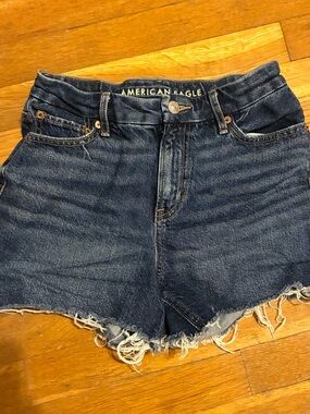 AE Curvy Shorts